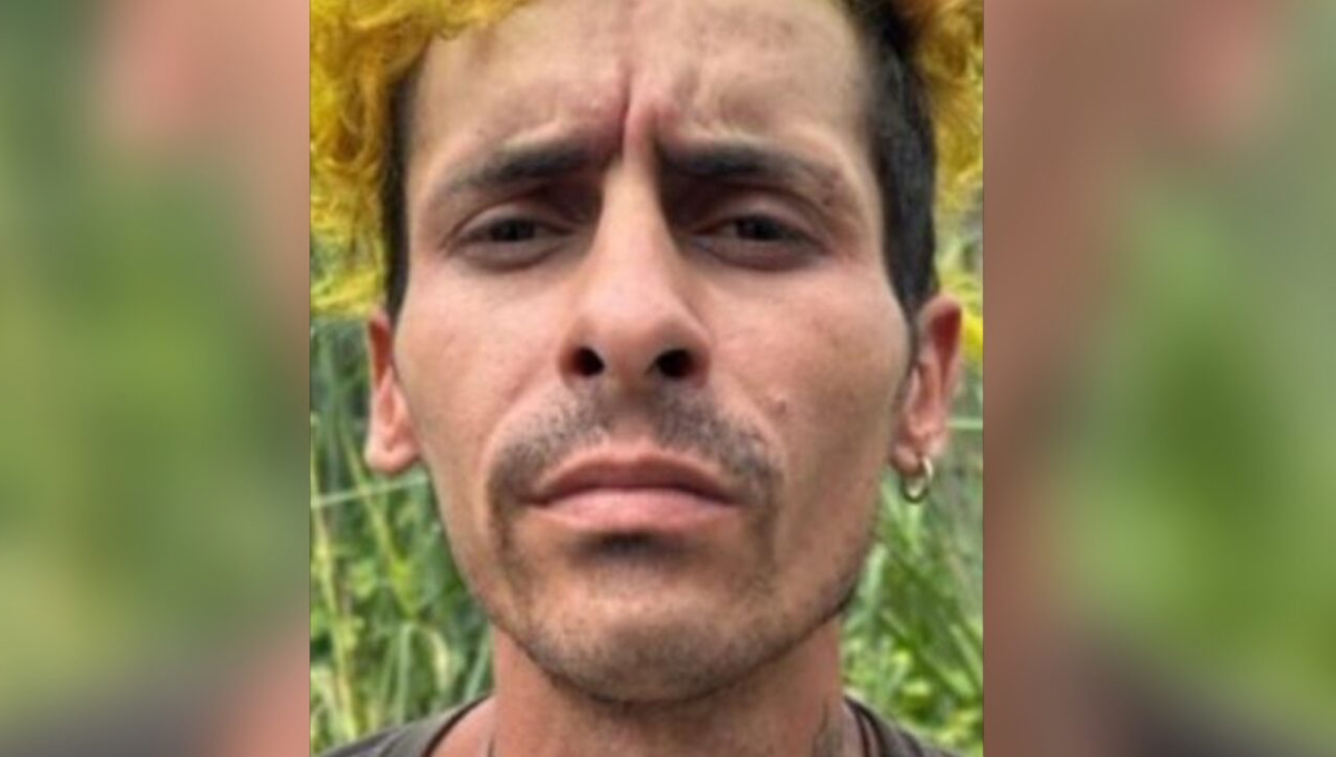 Imagem da Notícia