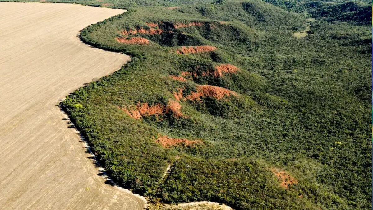 Licença ambiental por autodeclaração, alvo de polêmica e sancionada por Lula, já existe em Goiás (Foto: Agência Brasil)