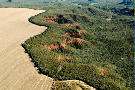 Licença ambiental por autodeclaração, alvo de polêmica e sancionada por Lula, já existe em Goiás (Foto: Agência Brasil)