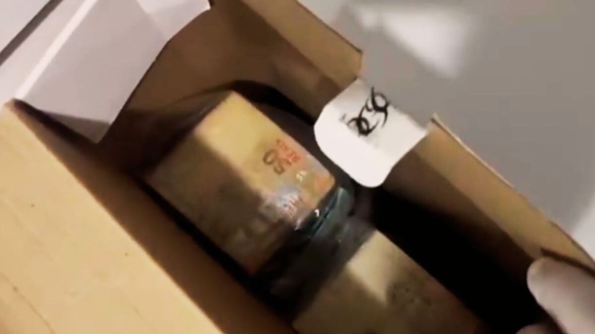 Polícia Federal investiga organização criminosa (Foto: PF)