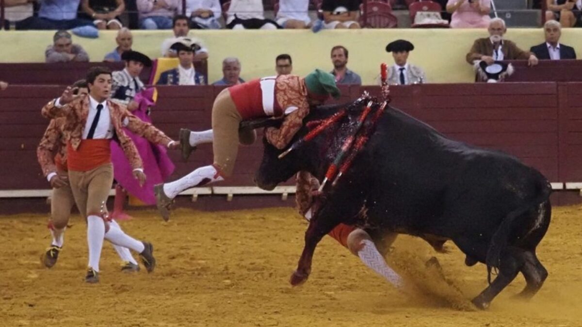 Cenas fortes: toureiro morre após ser chifrado, e espectador tem infarto ao presenciar e também morre arena em Lisboa Portugal