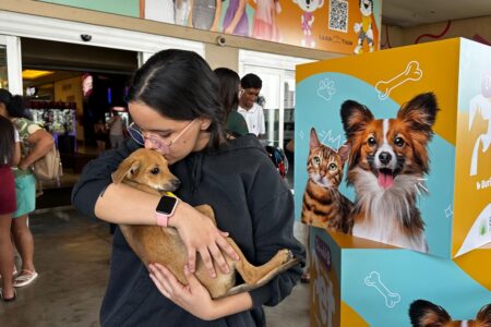 Quase 40 cães e gatos são adotados em feira em Aparecida