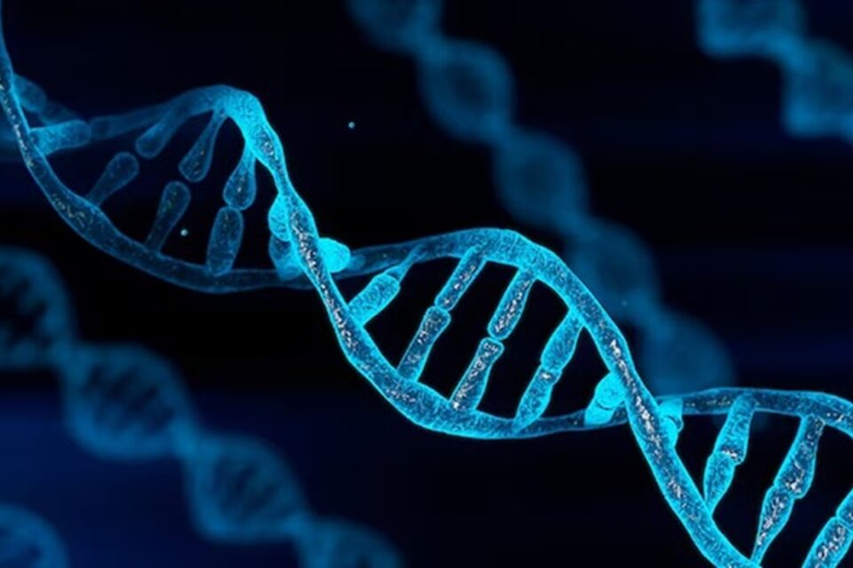 Entenda o caso inédito da brasileira que carrega DNA do irmão gêmeo Ana Paula só descobriu a condição após sofrer um aborto espontâneo