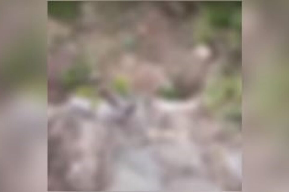 Imagem feita pelos ciclistas