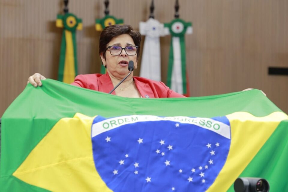 bia-de-lima-alego-bandeira-do-brasil