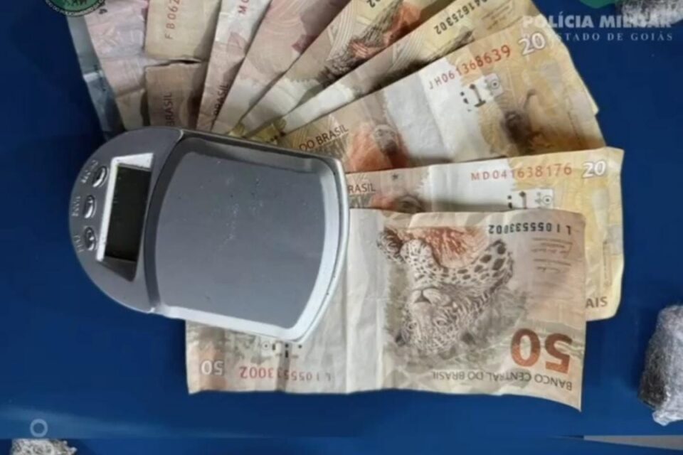 Imagem das apreensões