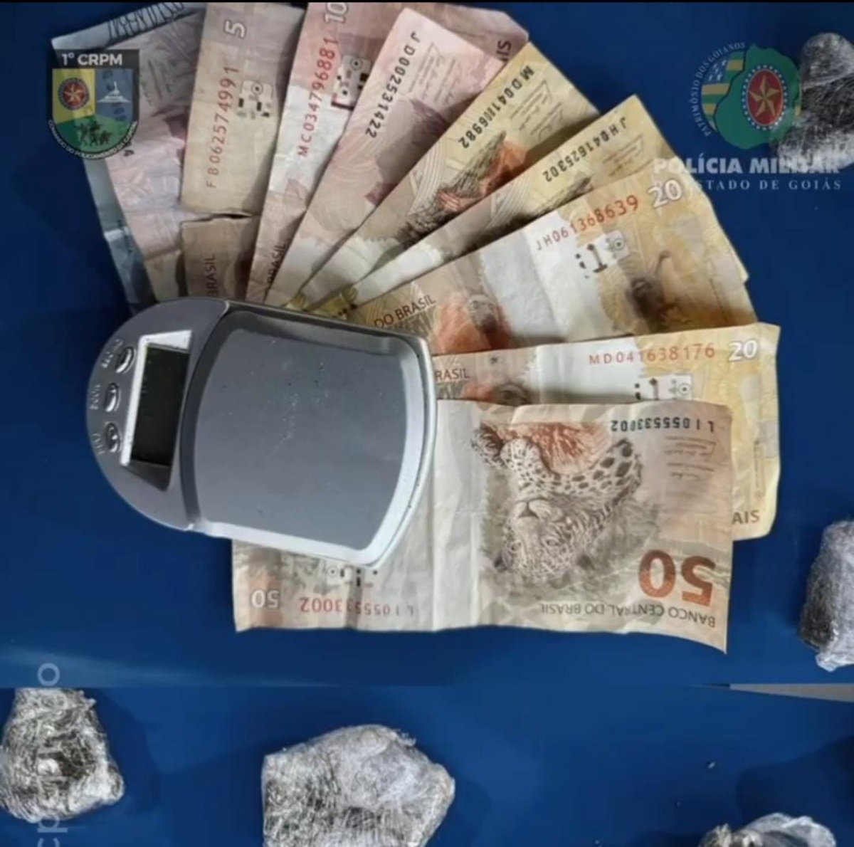 Imagem das apreensões