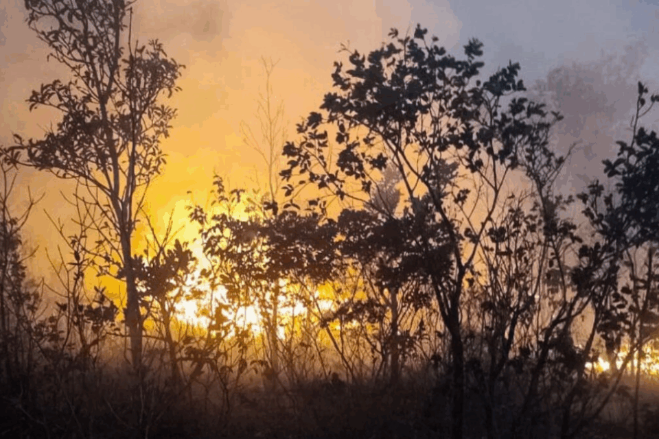 Goiás registra mais de 500 focos de incêndio durante final de semana