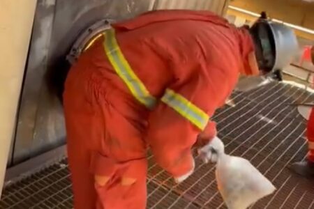 Polícia Civil incinera mais de quatro toneladas de drogas apreendidas em Goiás