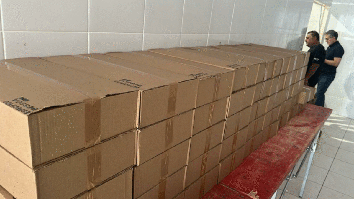 Imagem de caixas de papelão com os antídotos