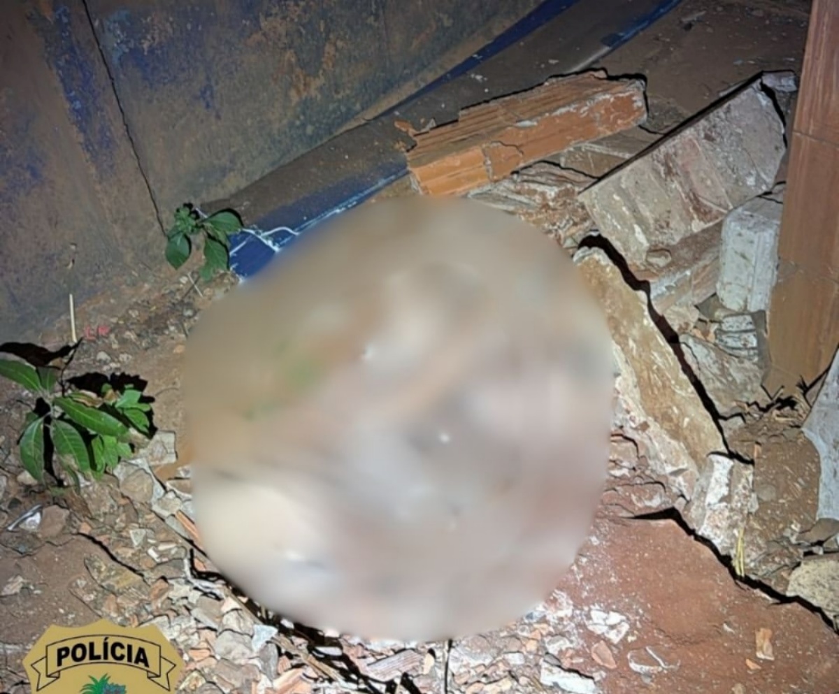 Imagem do local onde o corpo foi encontrado