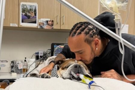 Lewis Hamilton e Roscoe