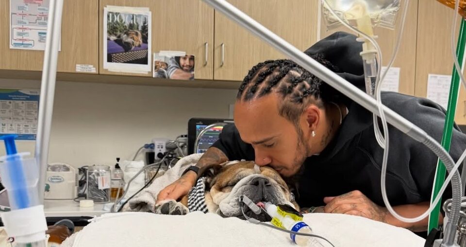 Lewis Hamilton e Roscoe