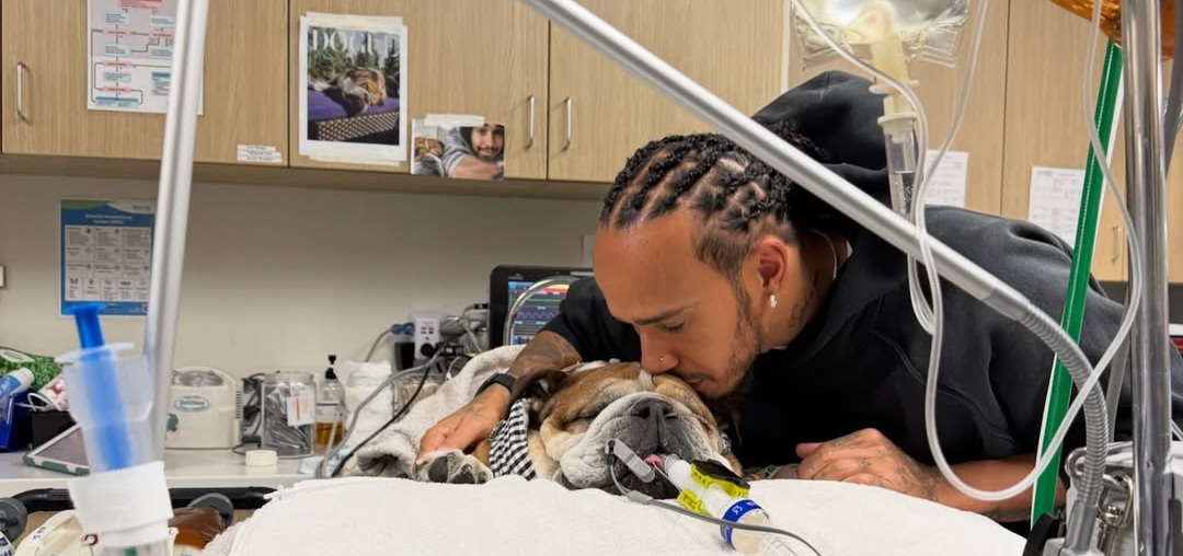 Lewis Hamilton e Roscoe