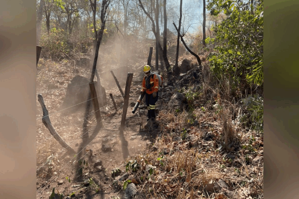 Bombeiros extinguem maior incêndio florestal do Brasil (Foto: Reprodução)