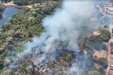 Bombeiros combatem incêndio no Jardim Botânico de Goiânia