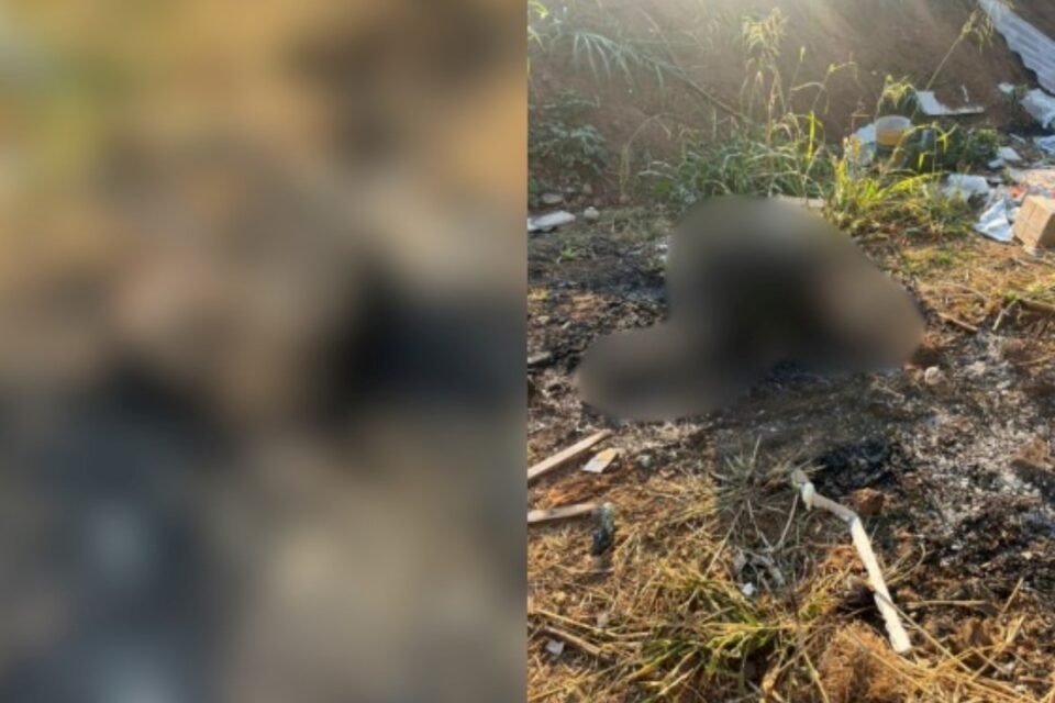 Imagem do local do crime