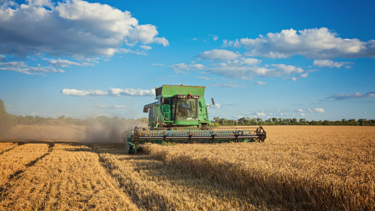 Pesquisa revela dois fatores que devem impulsionar o agronegócio brasileiro; saiba quais papel do Brasil como potência agrícola mundial