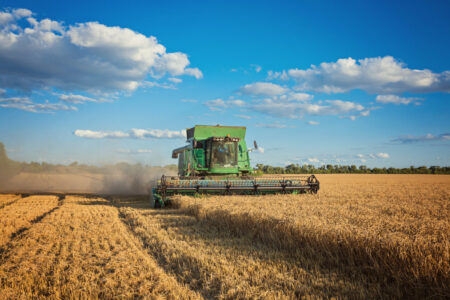 Pesquisa revela dois fatores que devem impulsionar o agronegócio brasileiro; saiba quais papel do Brasil como potência agrícola mundial