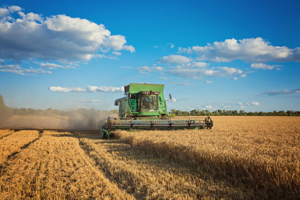 Pesquisa revela dois fatores que devem impulsionar o agronegócio brasileiro; saiba quais papel do Brasil como potência agrícola mundial