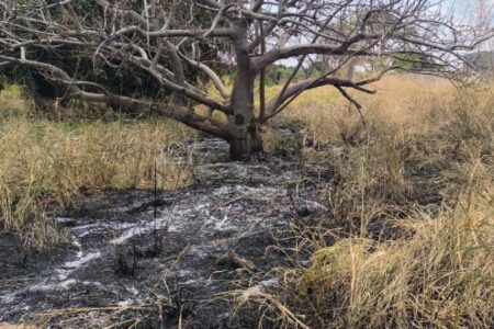 Casal é flagrado ao atear fogo em vegetação enquanto carrega bebê no colo em Goiânia