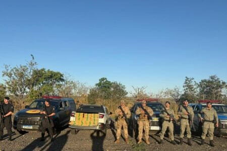 Operação conjunta apreende meio milhão de reais em maconha na região Leste de Goiás