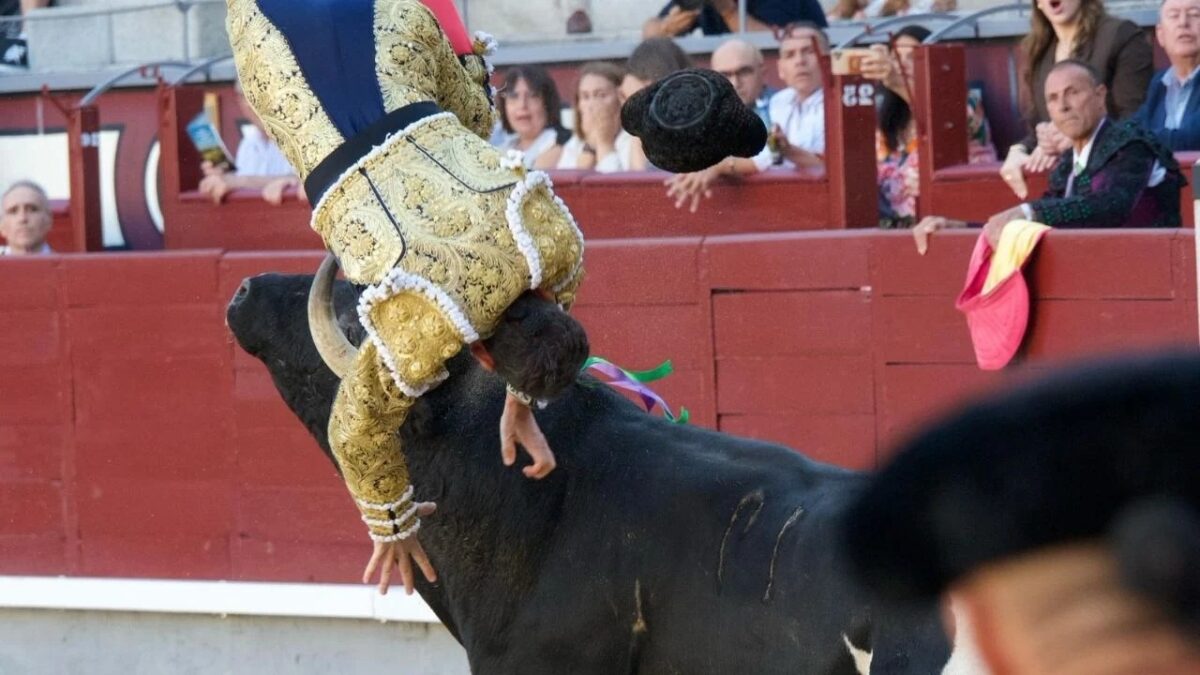 Vídeo: matador espanhol é chifrado brutalmente por touro e sofre corte de 28 centímetros Serafín Marín incidente de Las Ventas, em Madri
