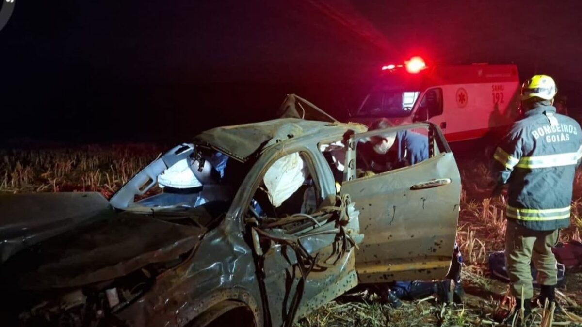 Carro bate em javali e deixa uma pessoa morta e duas feridas perto de Ipameri Condutor do carro morreu na hora