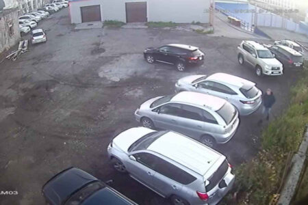 Urso invade cidade, mata idosa e ataca menino; criança sobrevive fingindo-se de morta; vídeo Animal atacou homem