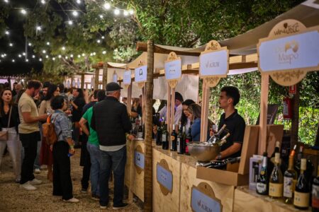 Wine Jazz reúne mais de 100 rótulos de vinhos em Goiânia