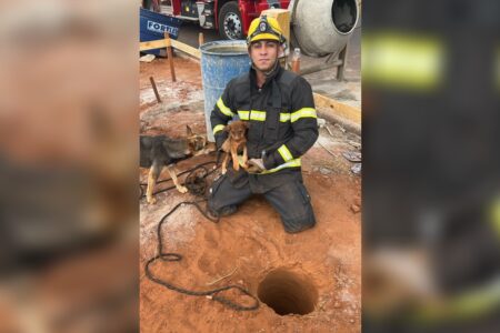 Bombeiros resgatam filhotes de cachorro presos em buracos de obra em Goiatuba