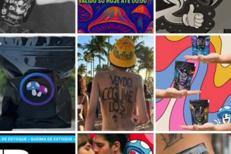 Organização criminosa que vendia 'cogumelos mágicos' para todo o país é presa no DF cumpridos 20 mandados de busca e apreensão e 9 de prisão