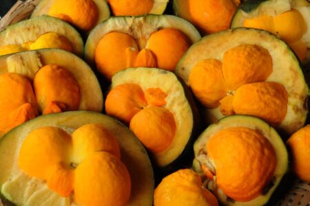 Pequi faz bem à saúde? Estudos apontam os benefícios do ouro do Cerrado Confira os nutrientes presentes no fruto e a melhor forma de consumo