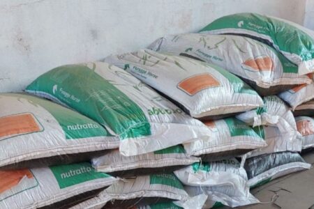 Revendedores dizem que ração suspeita de matar 284 cavalos ainda não foi recolhida