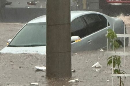Goiânia registra chuva de grazino, alagamentos, quedas de árvores e transtornos
