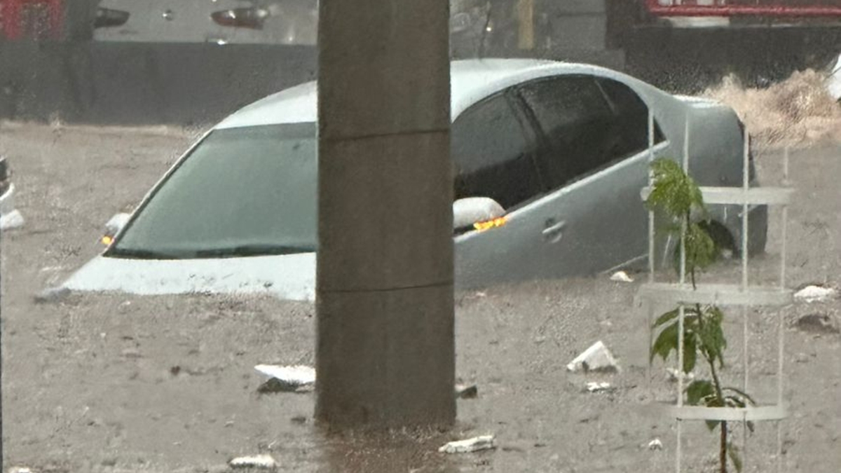 Goiânia registra chuva de grazino, alagamentos, quedas de árvores e transtornos