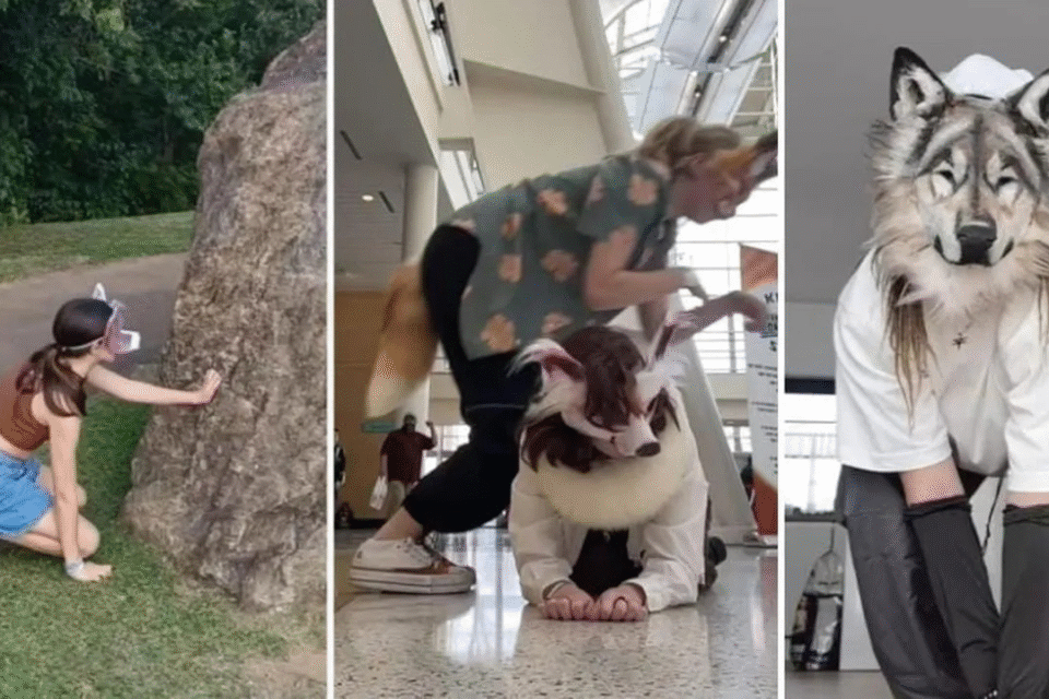 9f846978 image Therians: entenda a comunidade de pessoas que se identificam e vivem como animais