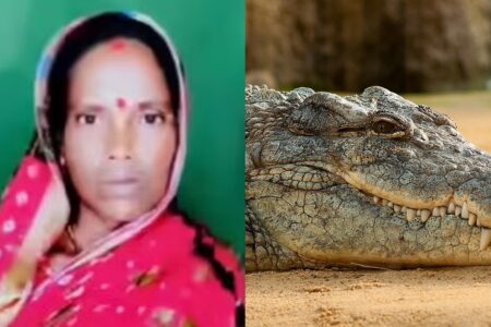 Indiana sai para pescar e é morta por crocodilo; corpo foi achado pela metade Cadáver de Laxmi Dalei foi achado por vizinhos no dia seguinte