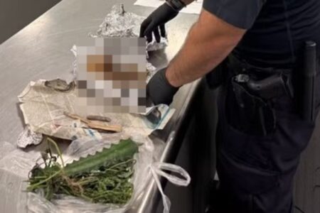 Homem é detido com crânio e ossos humanos que seriam usados em ritual; veja fotos Suspeito tentou contrabandear restos humanos e plantas