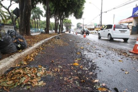 Combinação de chuva e jamelões provoca queda de motociclistas em Goiânia