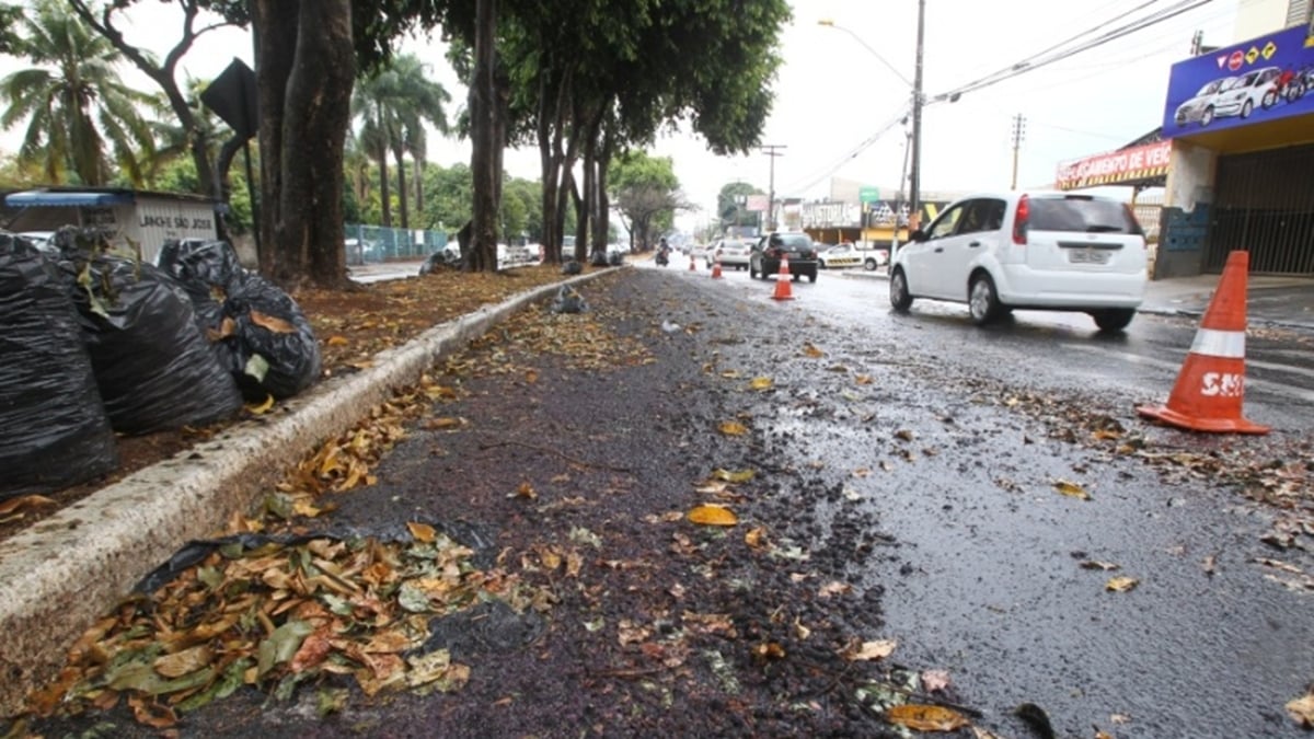 Combinação de chuva e jamelões provoca queda de motociclistas em Goiânia