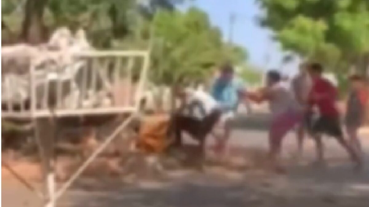 Idoso tem nariz quebrado após pedir que adolescentes parassem de jogar pedras em árvore