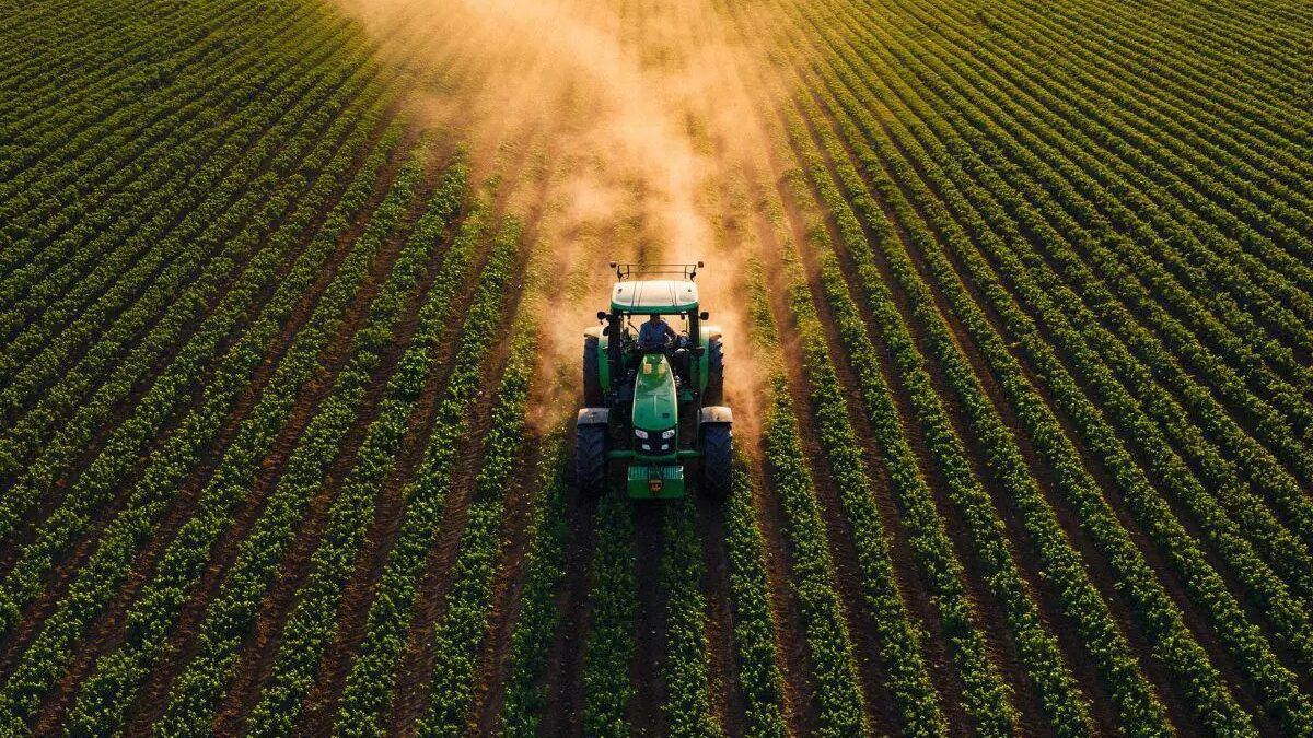 Goiás tem duas cidades entre as maiores produtoras agrícolas do Brasil; veja quais Municípios goianos ocupam a 5ª e a 7ª posição no ranking