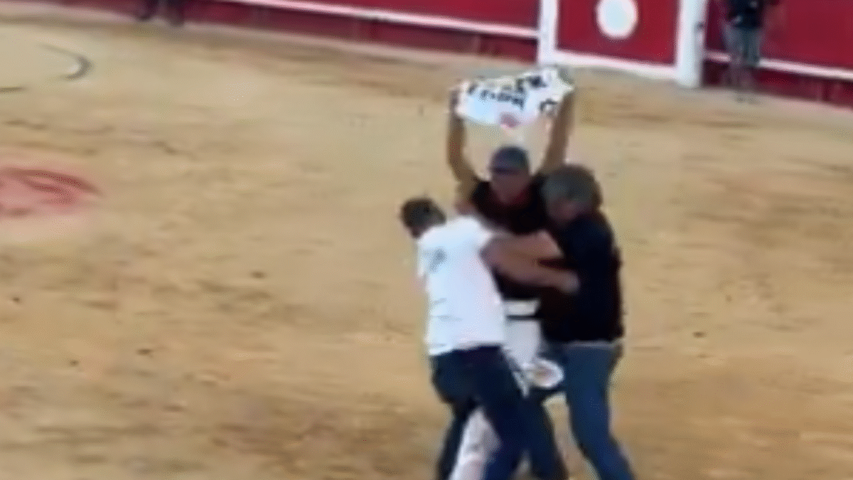 Influenciador francês é detido em protesto contra touradas na França