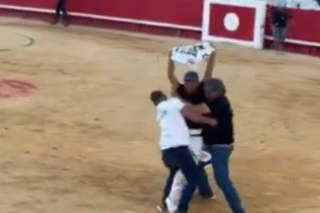 Influenciador francês é detido em protesto contra touradas na França