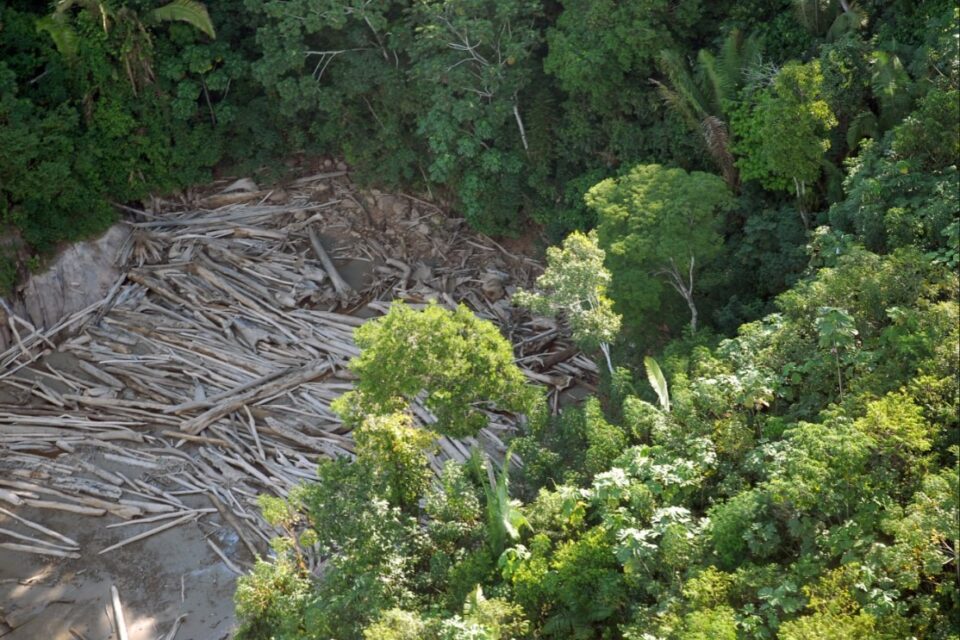 Em 40 anos, Amazônia perdeu área de vegetação do tamanho da França Foram 52 milhões de hectares entre os anos de 1985 e 2024