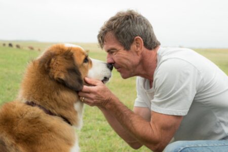 Sessão da Tarde: confira os filmes que serão exibidos nesta semana de 15 a 19 de setembro