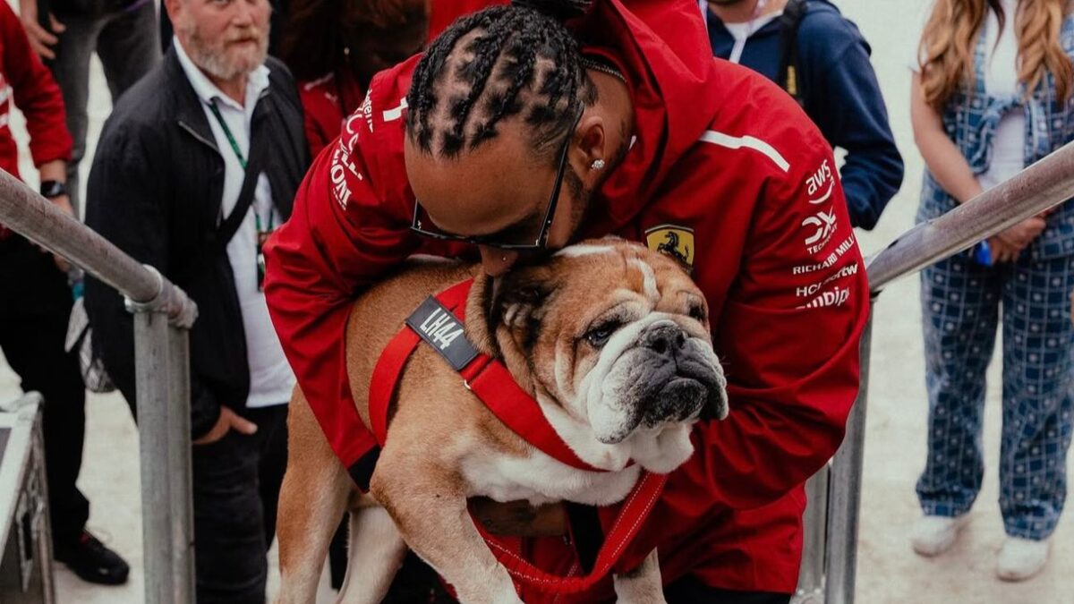 Através das redes sociais Lewis Hamilton comunicou a morte do seu cachorro