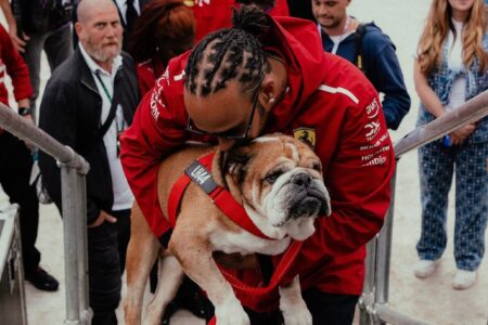 Através das redes sociais Lewis Hamilton comunicou a morte do seu cachorro