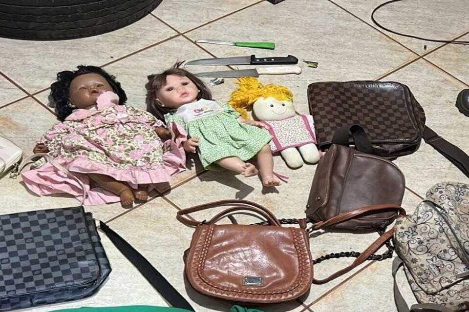 Imagem dos itens apreendidos